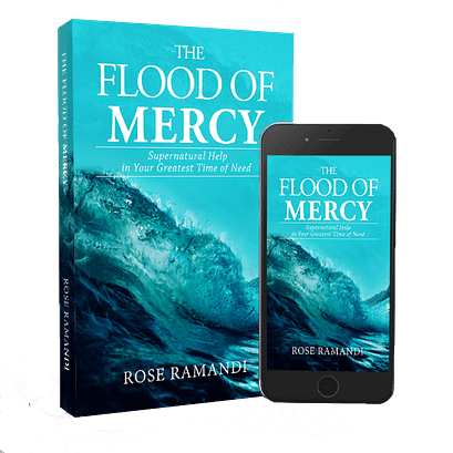 The flood of mercy trans back